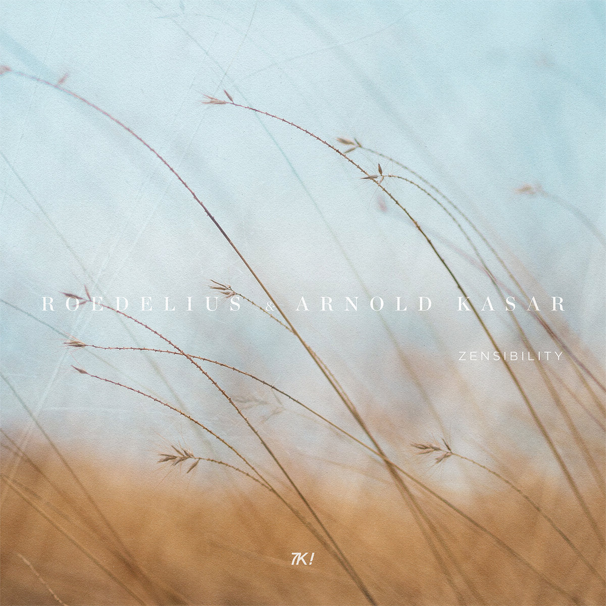 Roedelius & Arnold Kasar 'Zensibility'