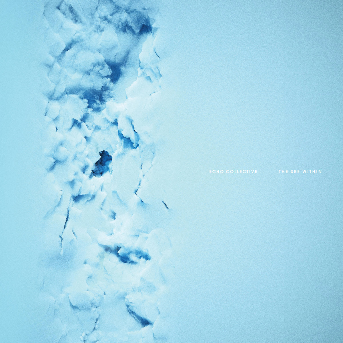 Echo Collective 'The See Within'