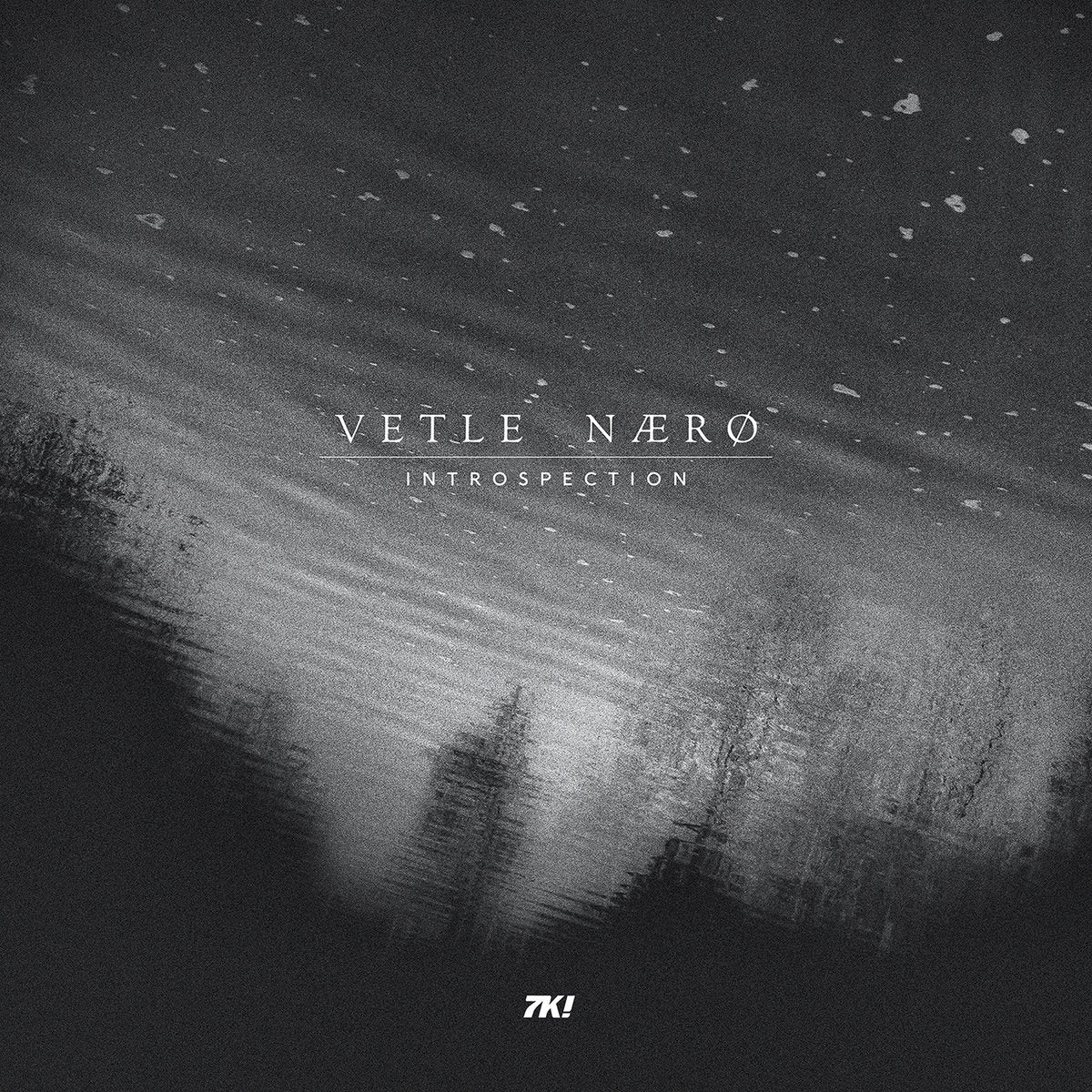 Vetle Nærø 'Introspection'